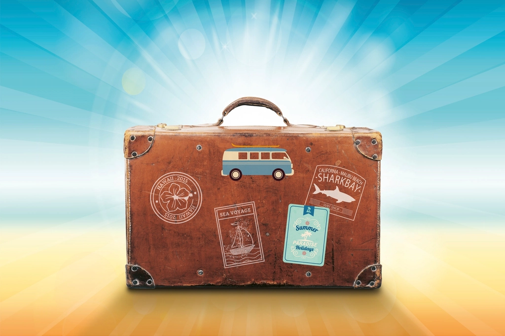 The Ultimate Bag Picker: Travel Smart