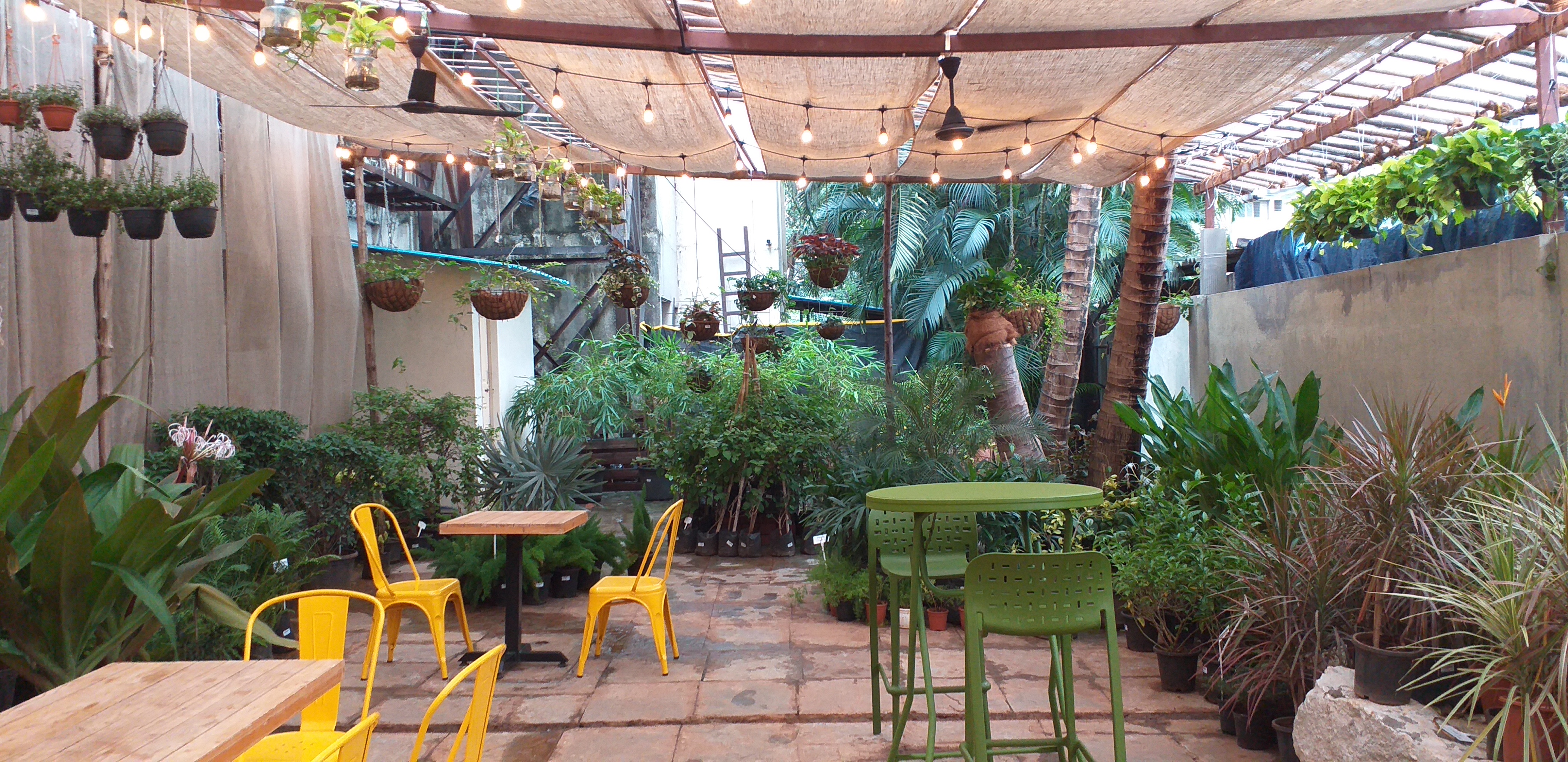 Baagaan Café: Where Plants and Coffee Collide